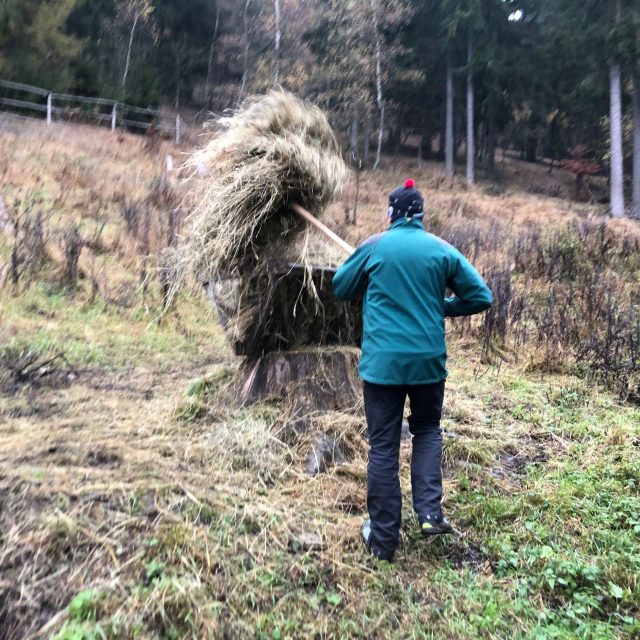 V Krkonoších se už jelení obůrky připravují na zimu | foto: Kateřina Kohoutová,  Český rozhlas