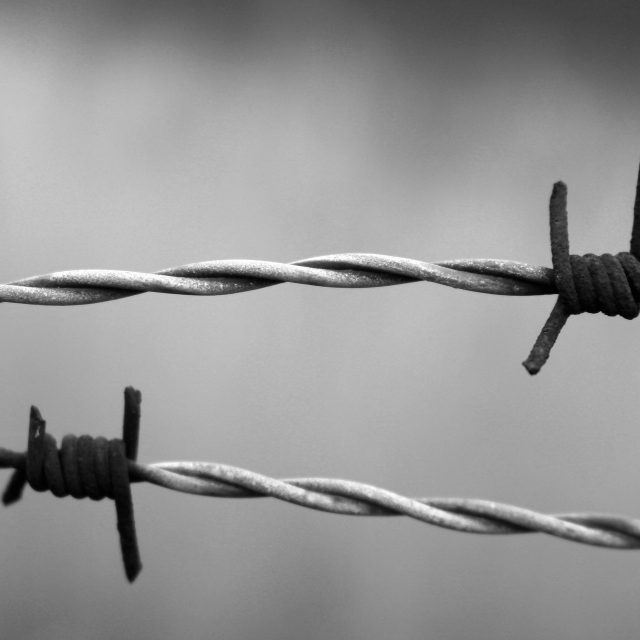 Když Rusové v lednu 1945 osvobodili koncentrační tábor v Osvětimi,  nebyl tam už ani jeden Rom. Všichni byli zlikvidováni. | foto: Fotobanka Pixabay,  CC BY 1.0