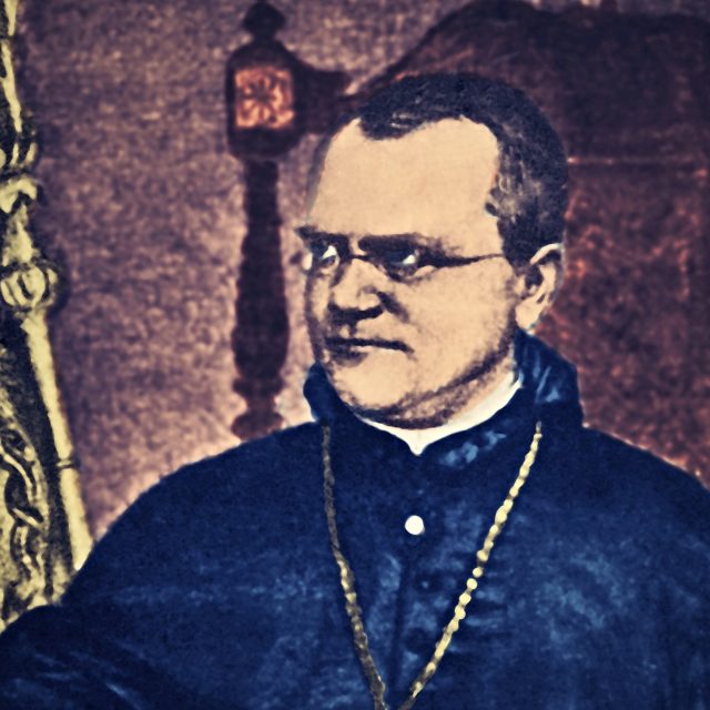 Gregor Johann Mendel | foto: Profimedia